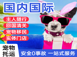 鄂州花湖空运地址国际宠物托运 【国